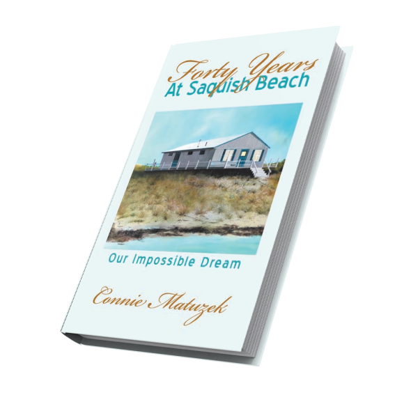 Forty Years At Saquish Beach: Our Impossible Dream (E-BOOK)